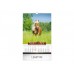 Kalendar GALOP